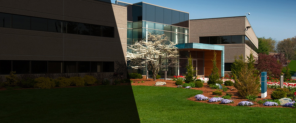 Kingston Landscapers