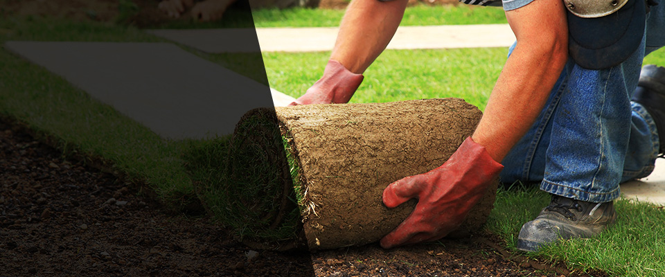 Kingston Landscapers